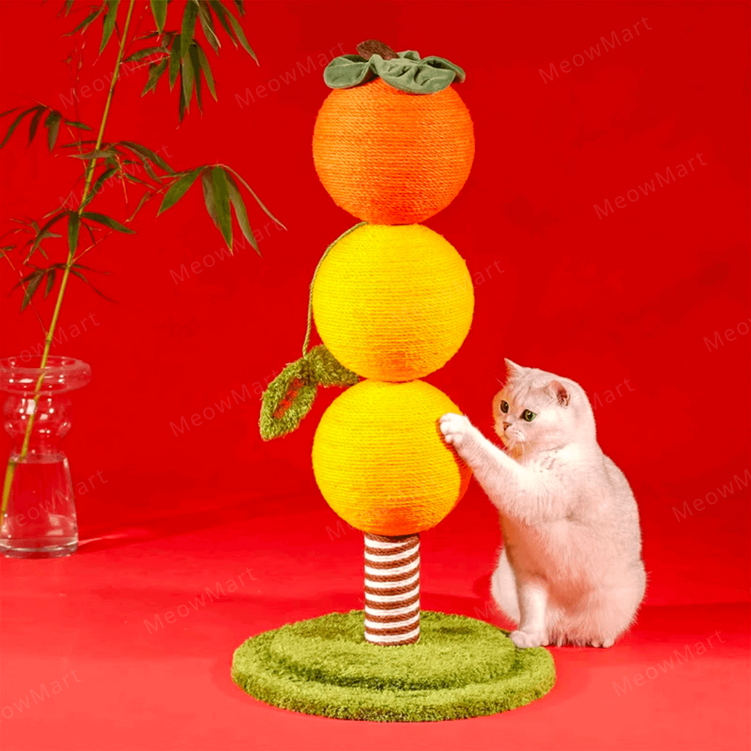 zeze 柿子貓抓柱