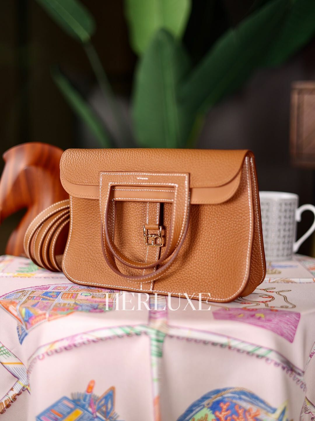 Halzan 25 37 gold cc tc K