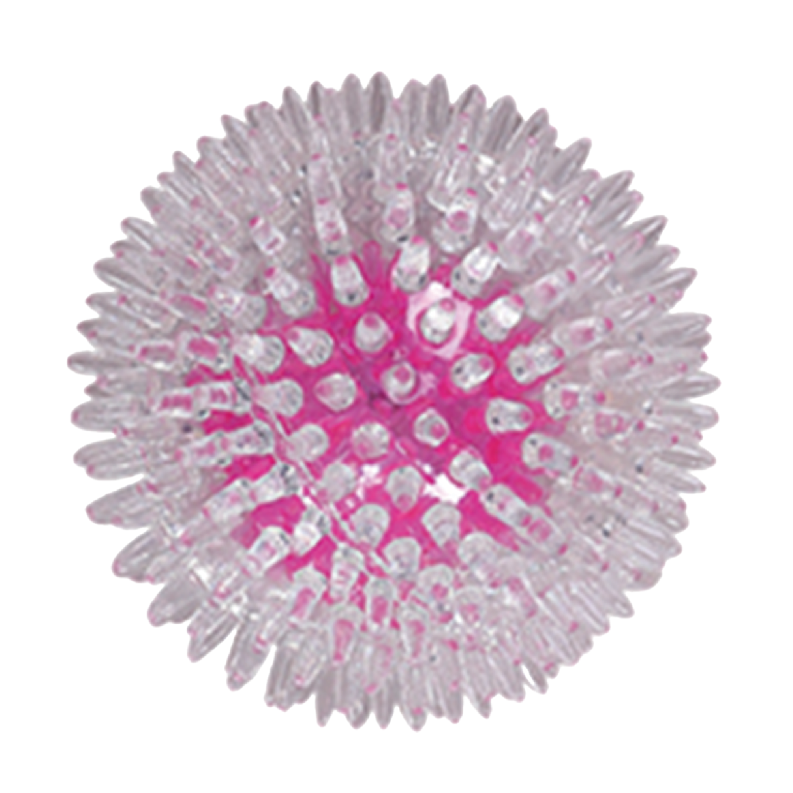 Pawise|閃光波(S)(NO.14551)