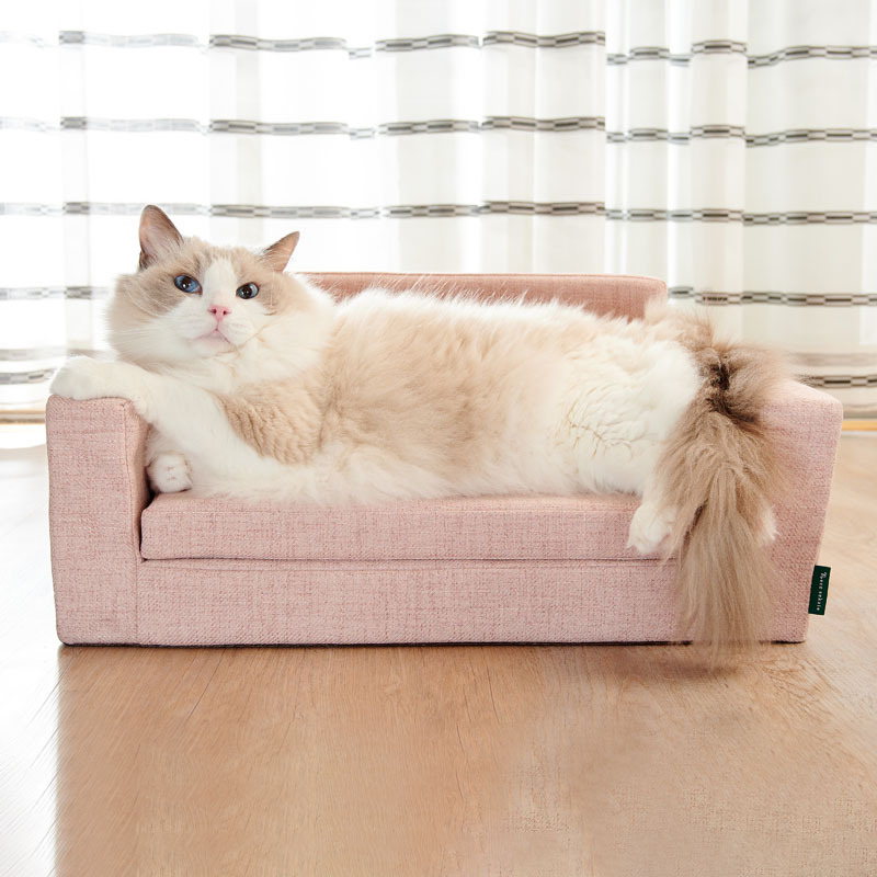 喵主子沙發床