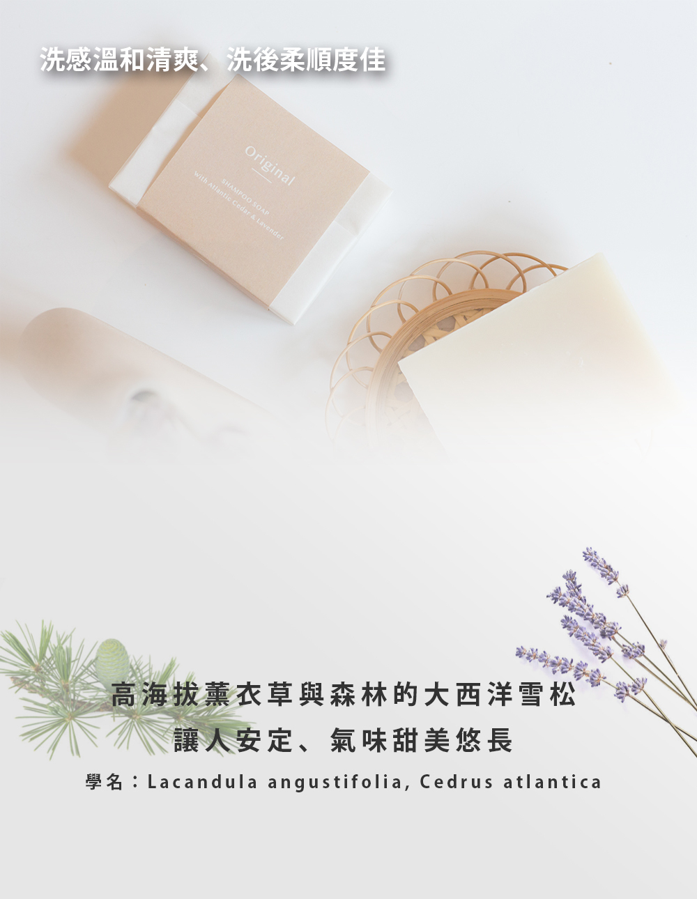 洗髮皂, 天然洗髮皂, 洗髮皂推薦, 手工洗髮皂, 沐浴皂, 洗髮香皂, 肥皂洗頭, 洗頭皂, 髮皂推薦, 手工皂推薦