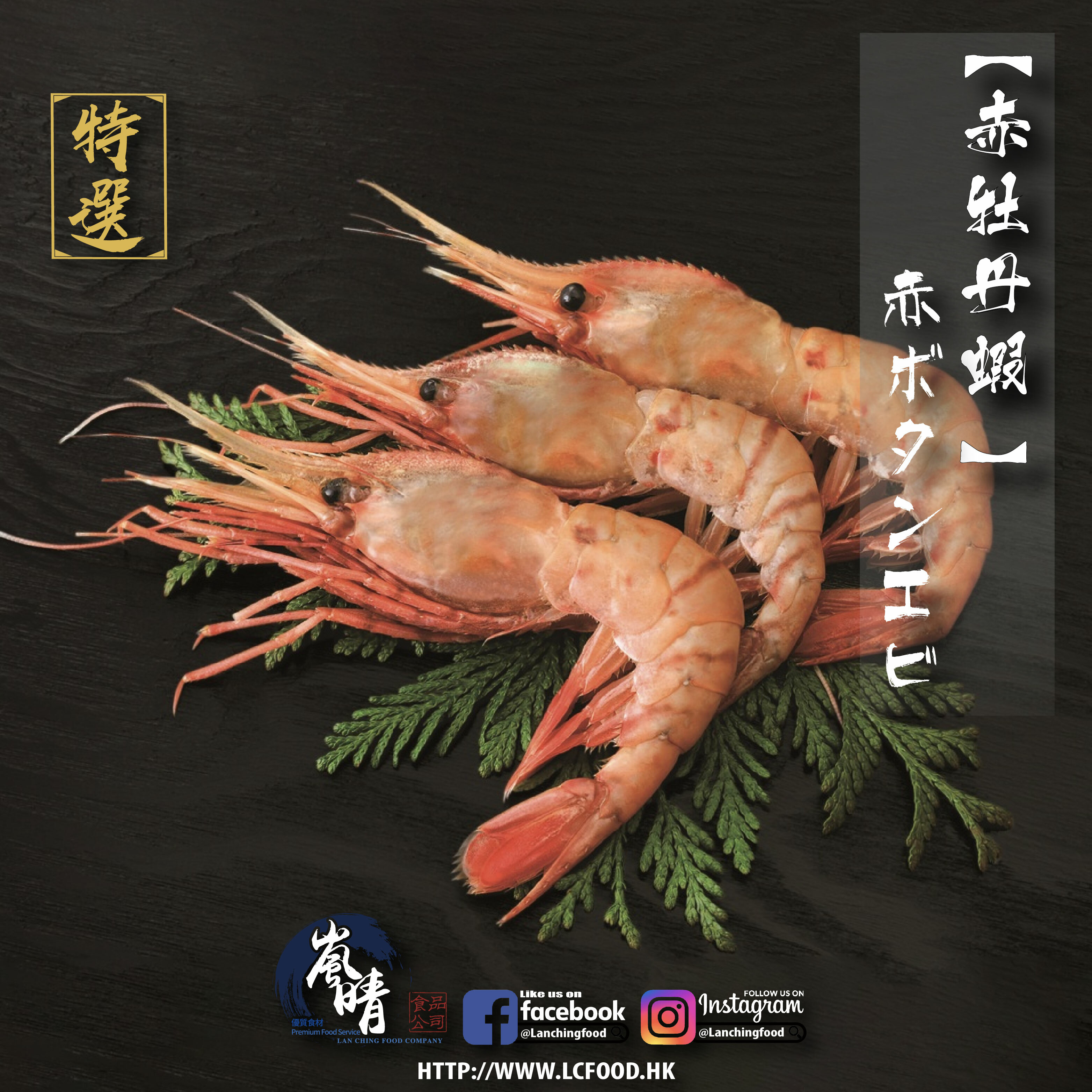 赤牡丹蝦 (刺身級)  J Size 500g