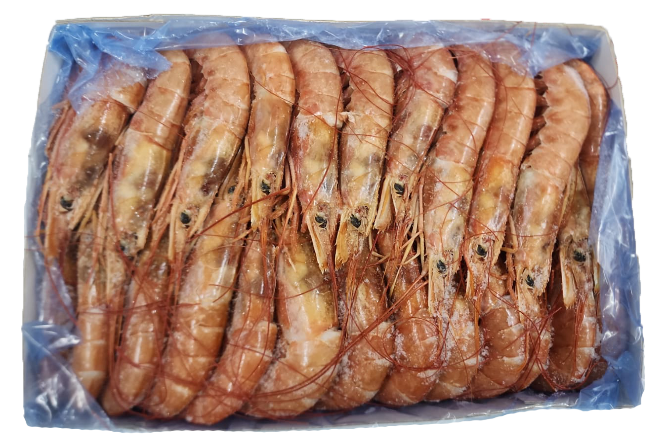 阿根廷原隻赤蝦(刺身) 2kg