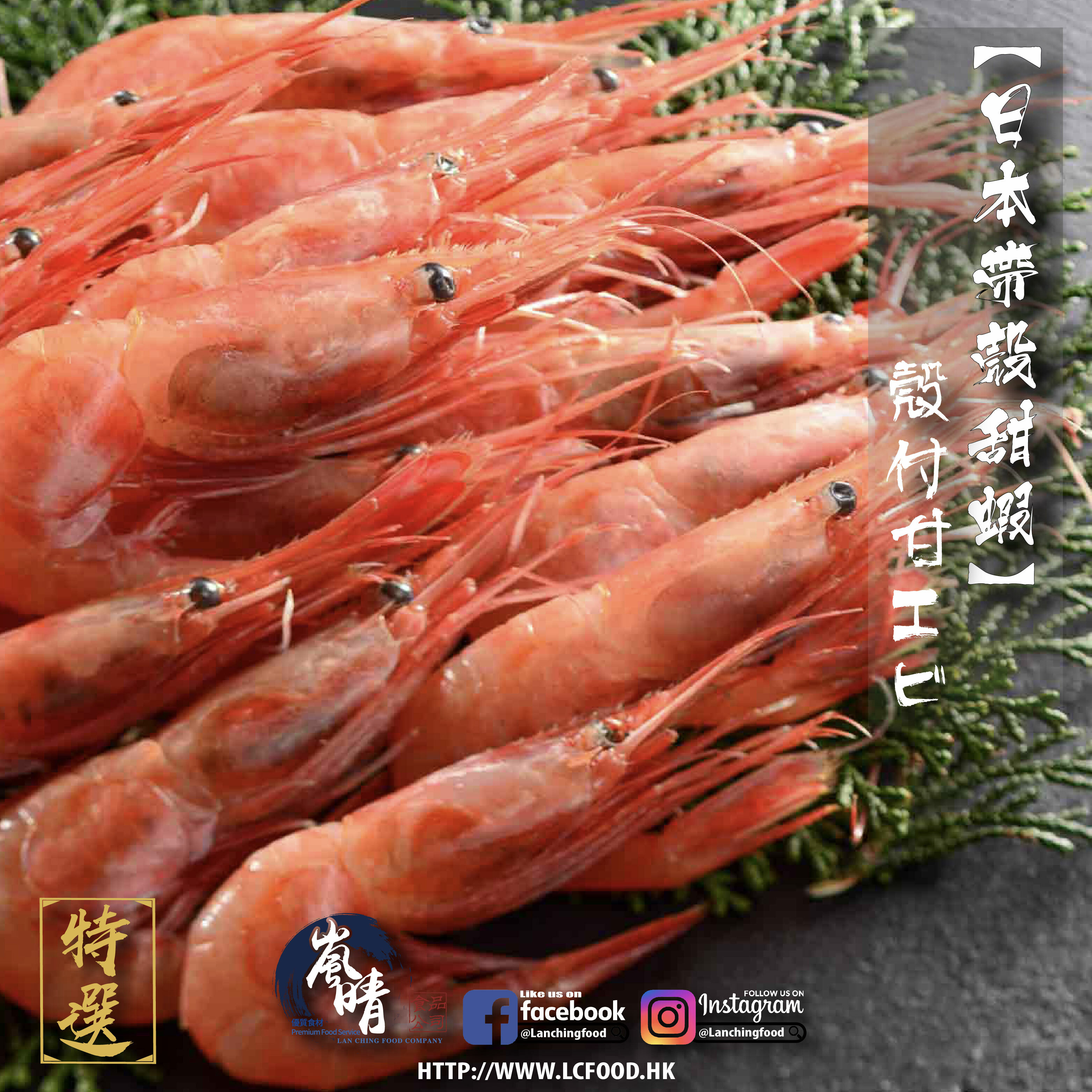 日本原隻甜蝦 (刺身)