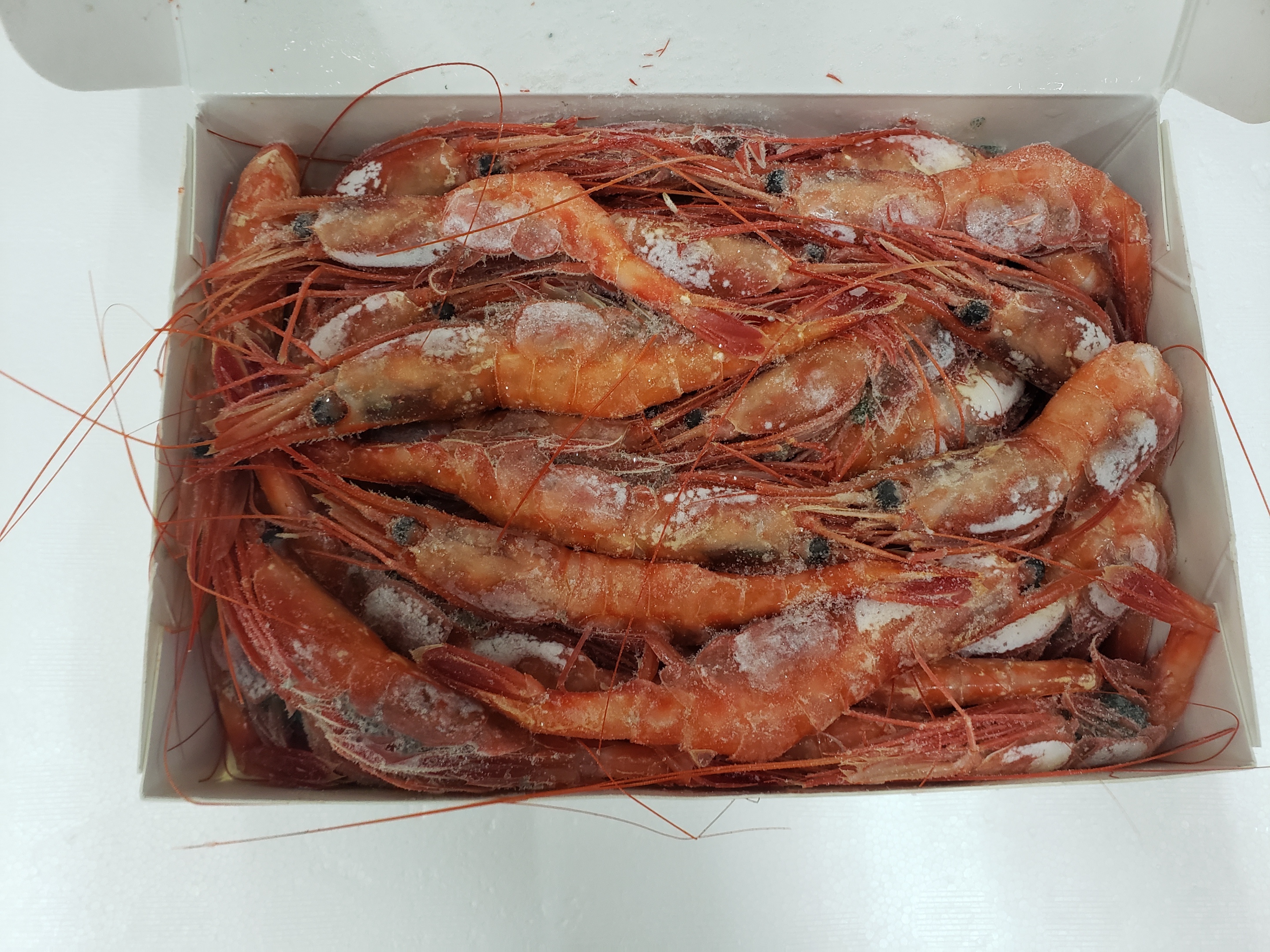 日本原隻甜蝦 (刺身)