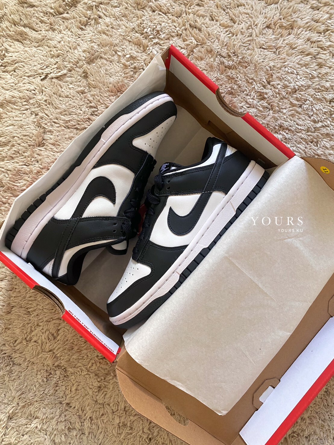 Nike Dunk Low 熊貓 女鞋（DD1503-101）