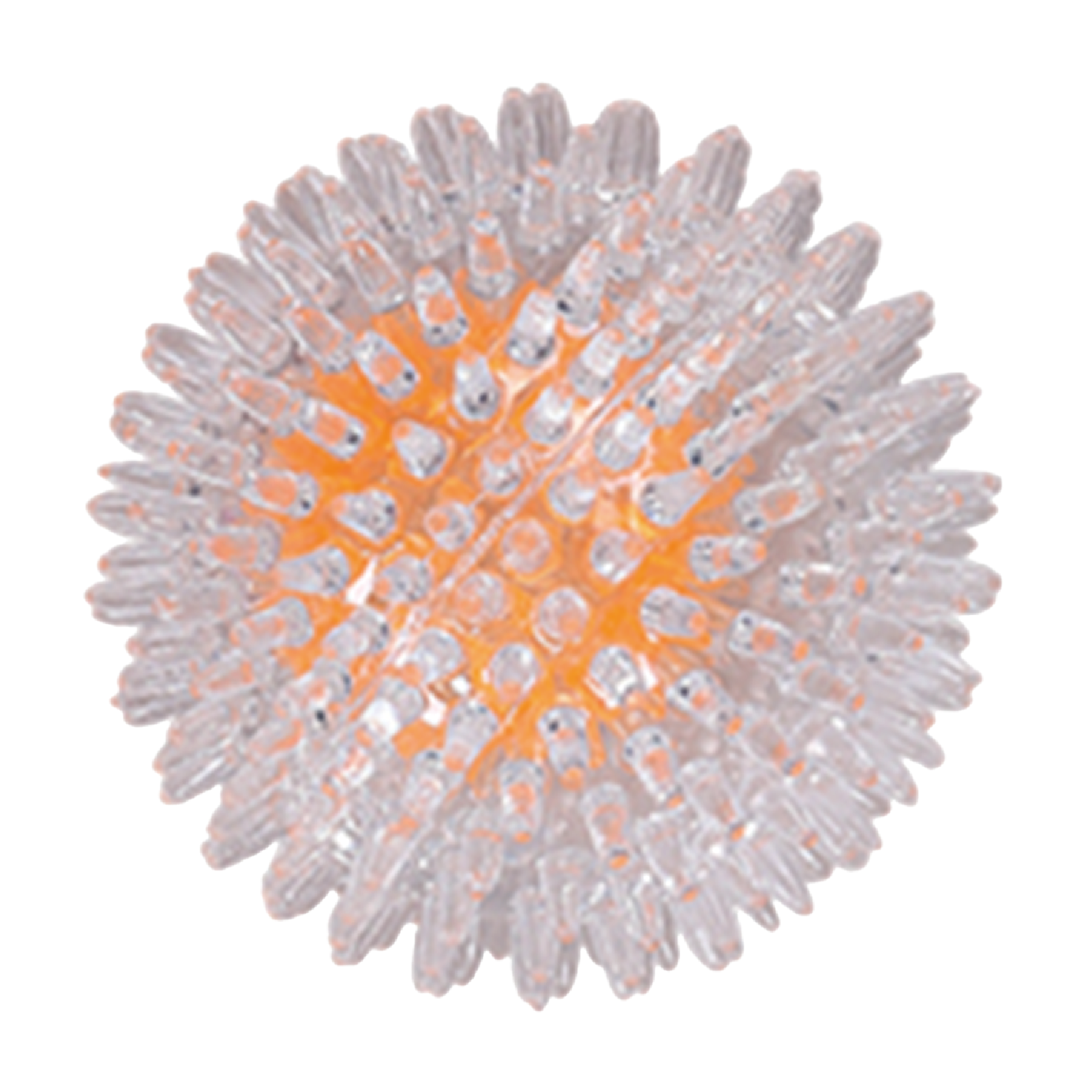 Pawise|閃光波(L)(NO.14552)