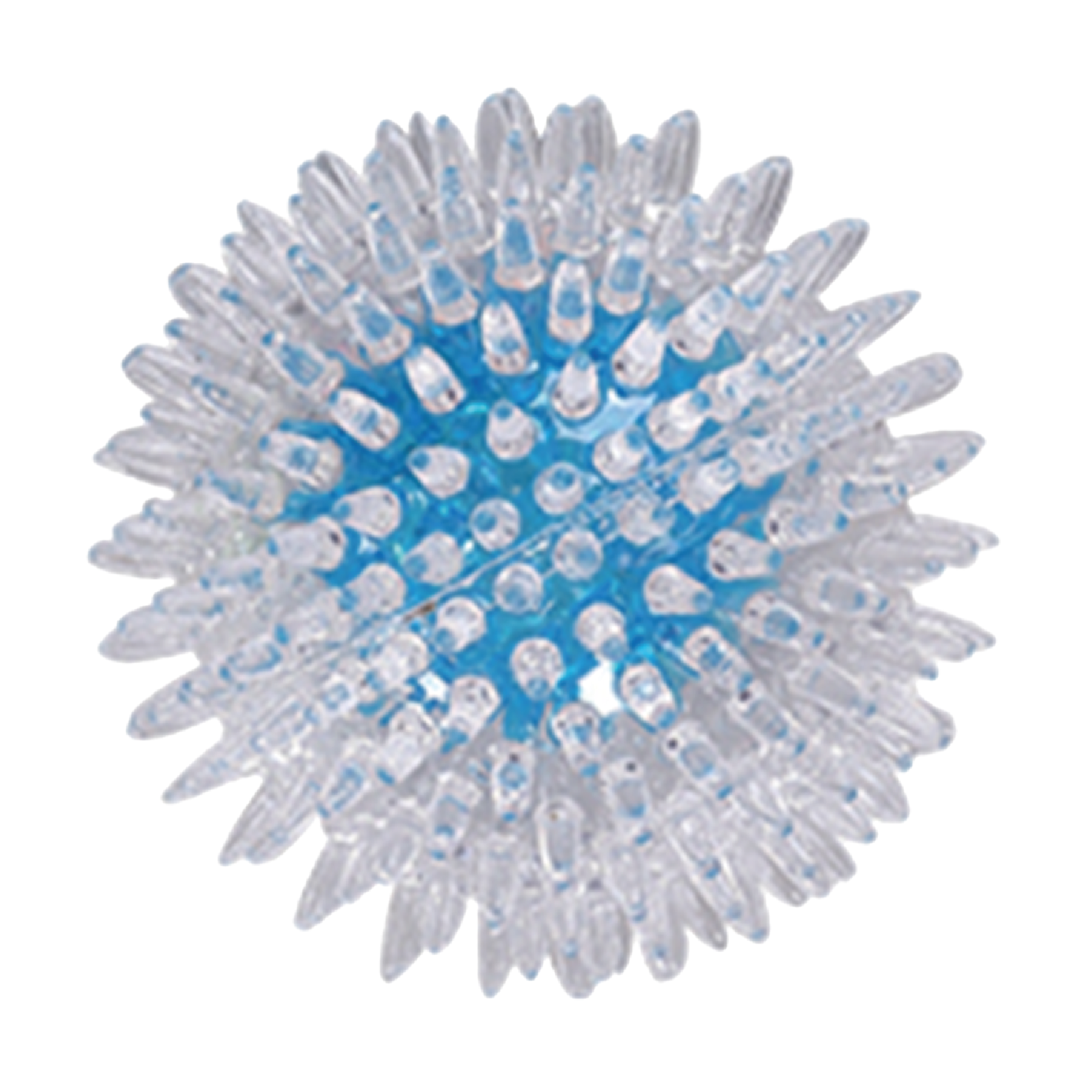 Pawise|閃光波(L)(NO.14552)