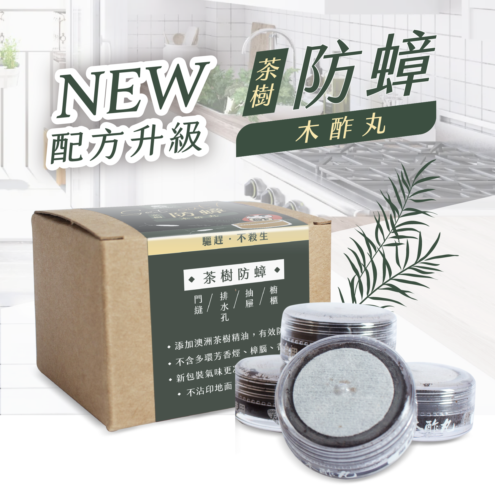 茶樹防蟑木酢丸（每盒四顆入