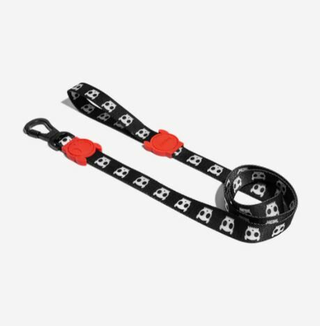 Zee Dog - Leash - Skull 2.0