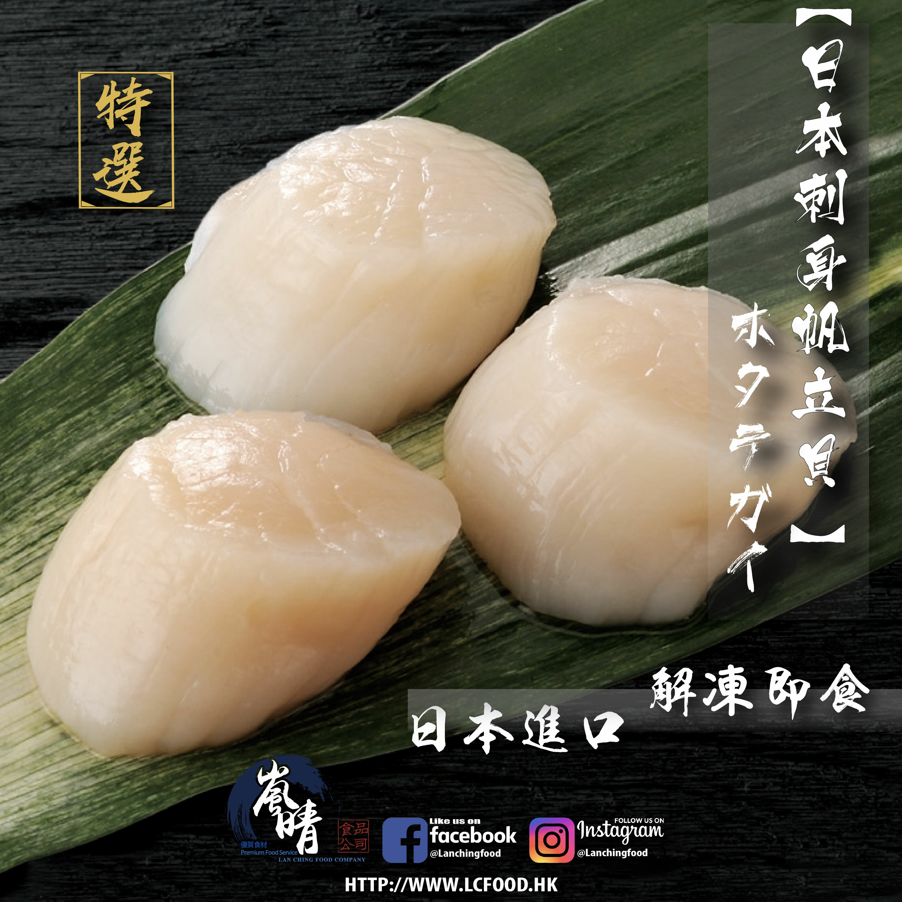日本急凍帆立貝(帶子)(刺身級)