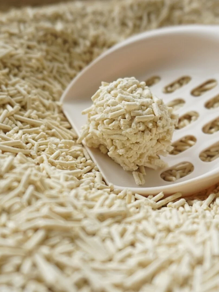 【doko】速凝阿姨2.0 極細豆腐砂｜經典原味