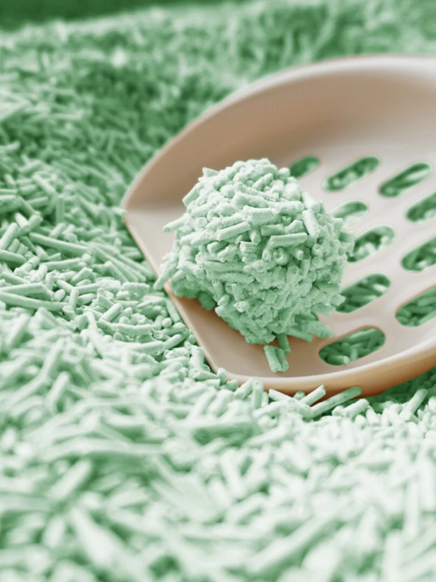 【doko】速凝阿姨2.0 極細豆腐砂｜日式抹茶