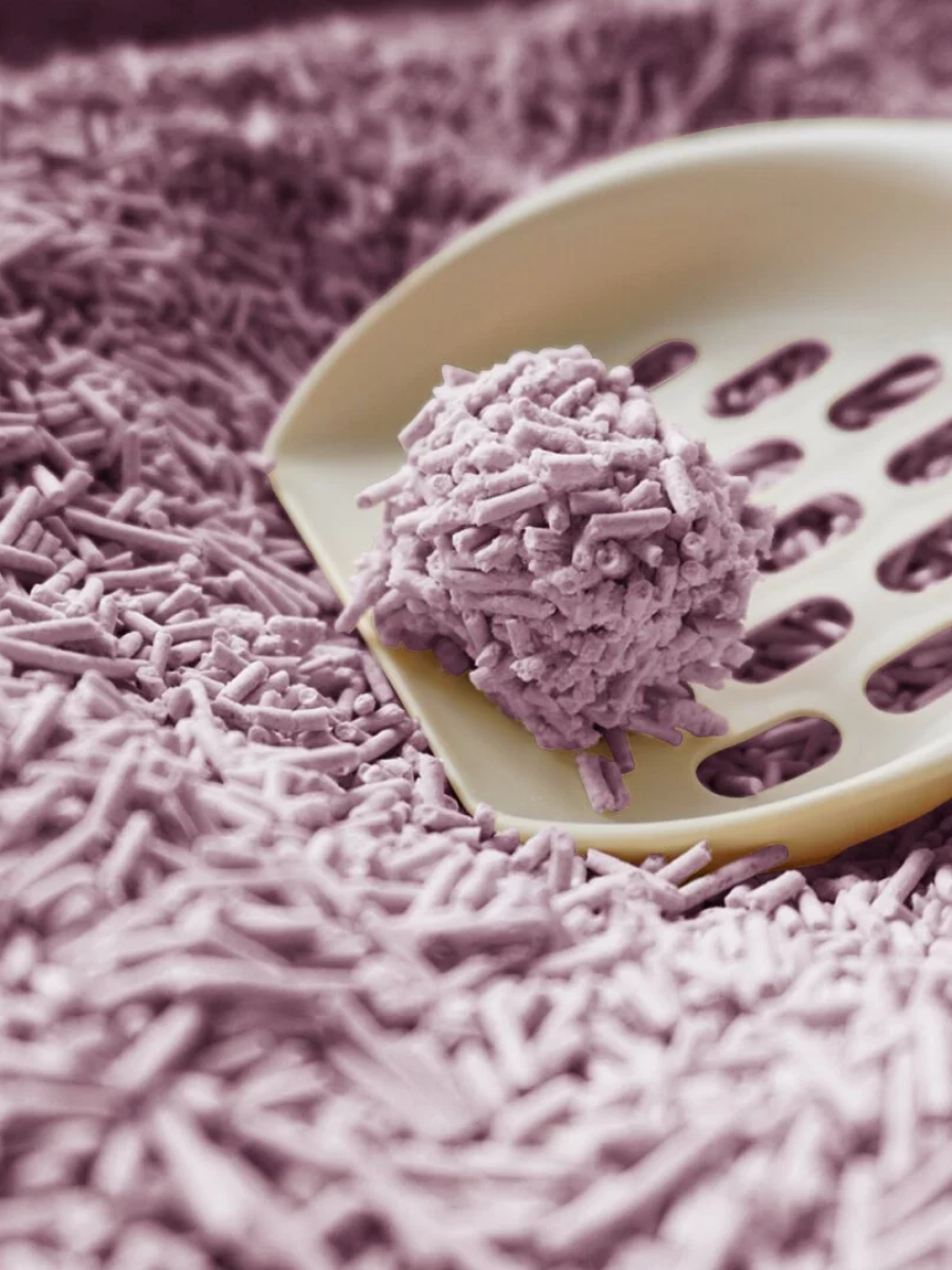 【doko】速凝阿姨2.0 極細豆腐砂｜草本植萃 (薰衣草香)