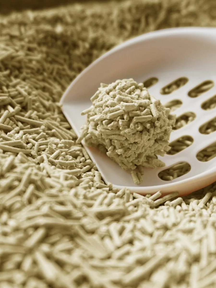 【doko】速凝阿姨2.0 極細豆腐砂｜清新晨露 (寶寶香)