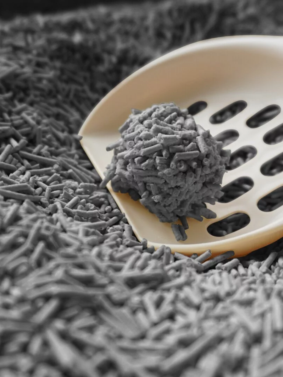 【doko】速凝阿姨2.0 極細豆腐砂｜皇家竹炭