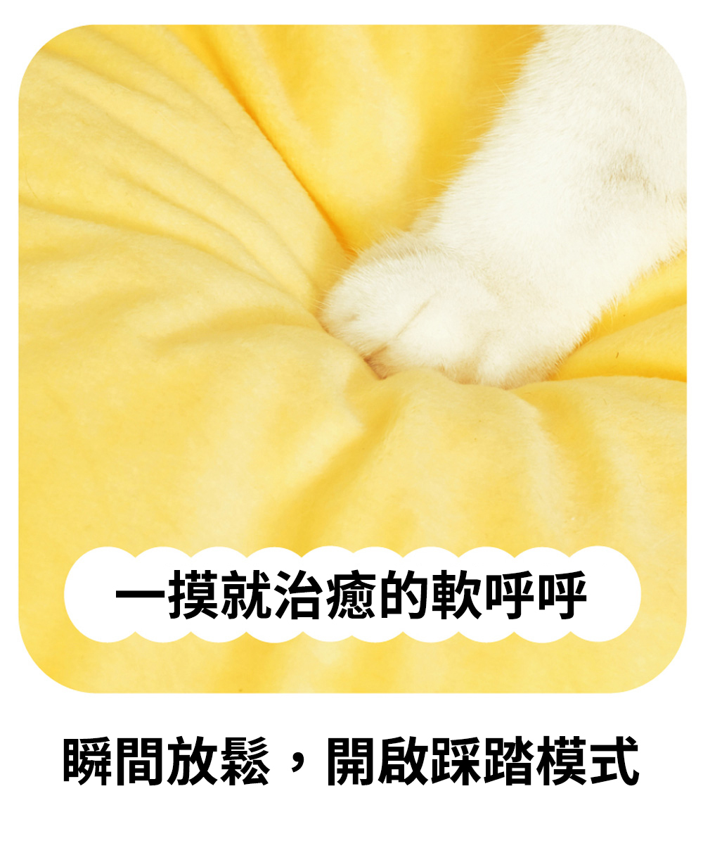 炸蝦天婦羅寵物窩