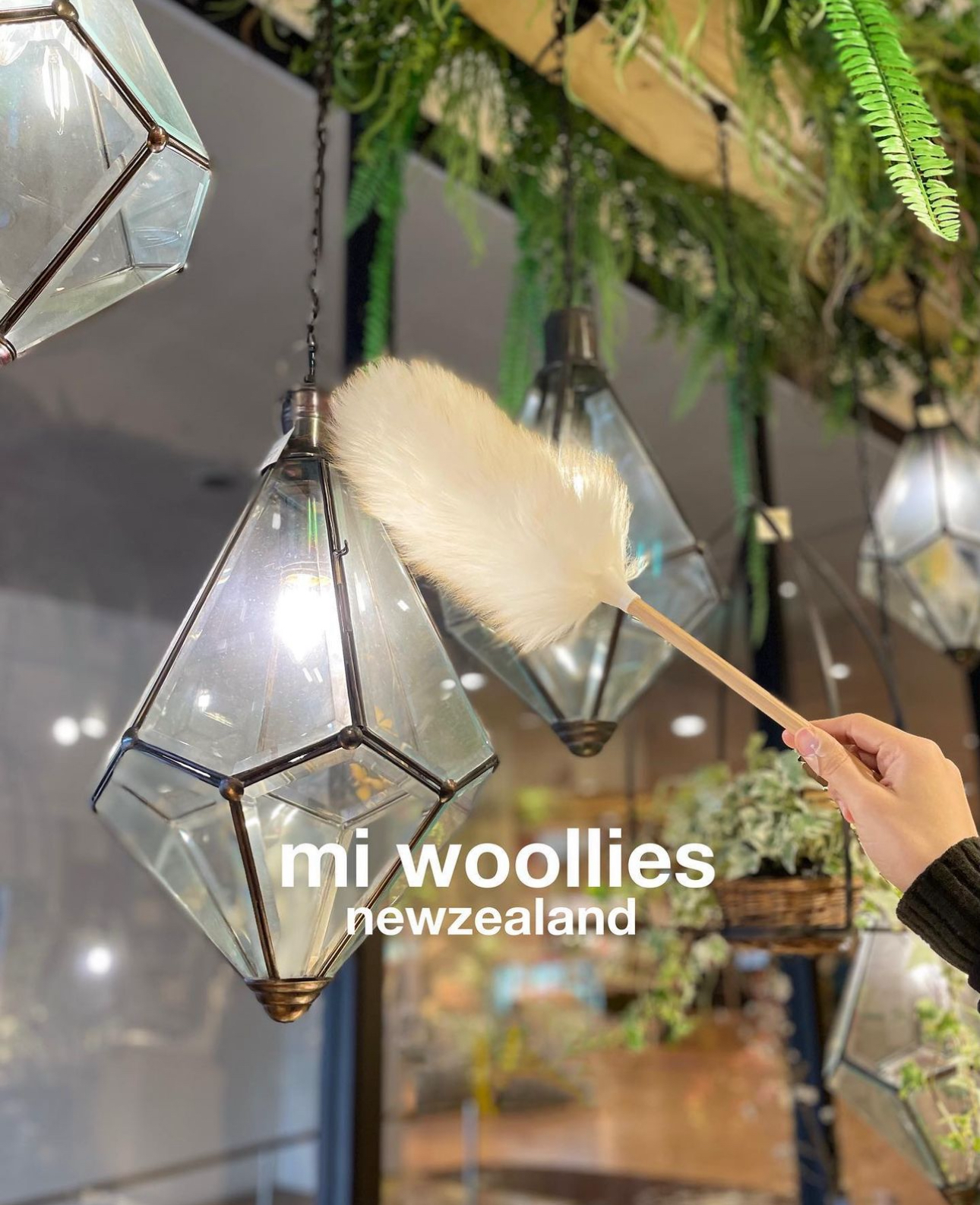 紐西蘭羊毛毯子（s)