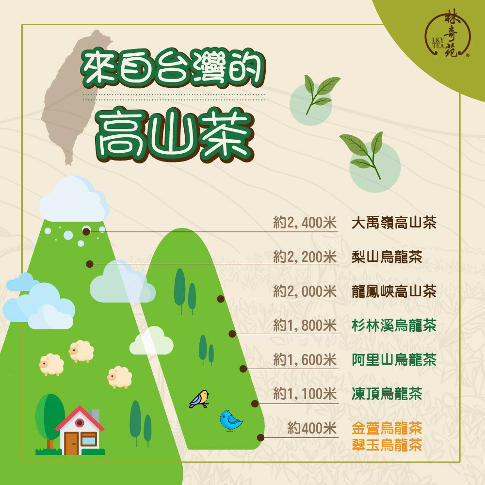 潤暖甘露翠玉高山烏龍．蜂蜜焙香｜150g手採茶葉（100%無農藥