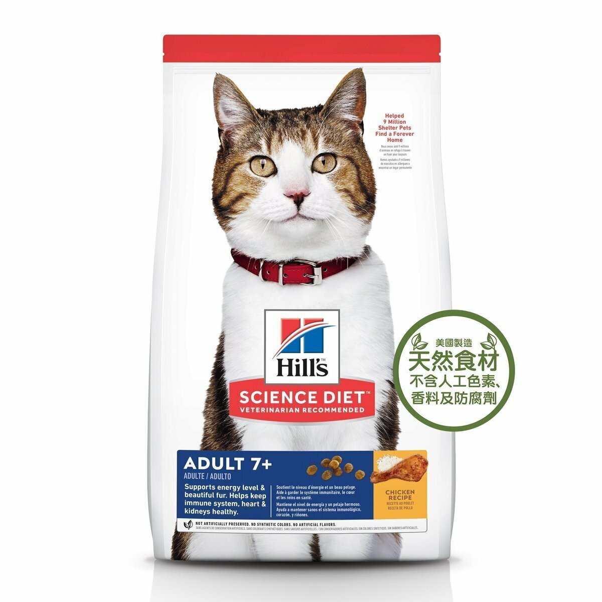 HILLS Adult 7+ Senior Cat Everday Diet (1.5kg /3.5kg /10kg)