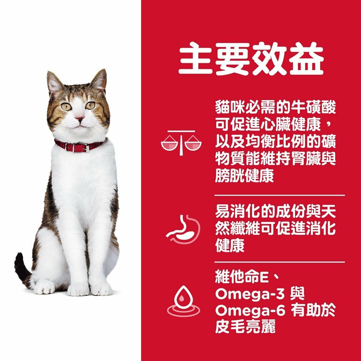 HILLS Adult 7+ Senior Cat Everday Diet (1.5kg /3.5kg /10kg)