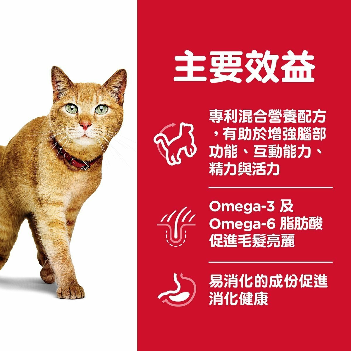 HILLS Adult 7+ Senior Cat Senior Vitality (3lb /13lb)