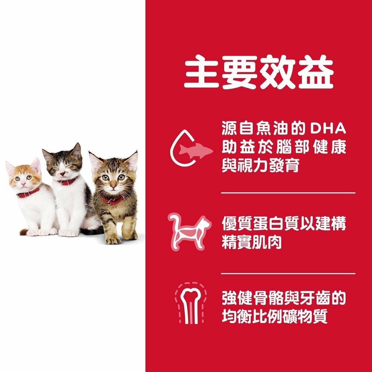 HILLS Kitten Everday Diet (3.5lb /4kg)