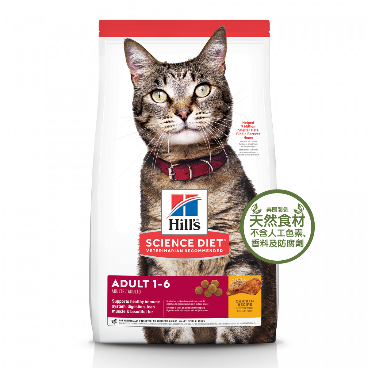 HILLS Adult Cat Everday Diet (2kg /4kg /10kg)