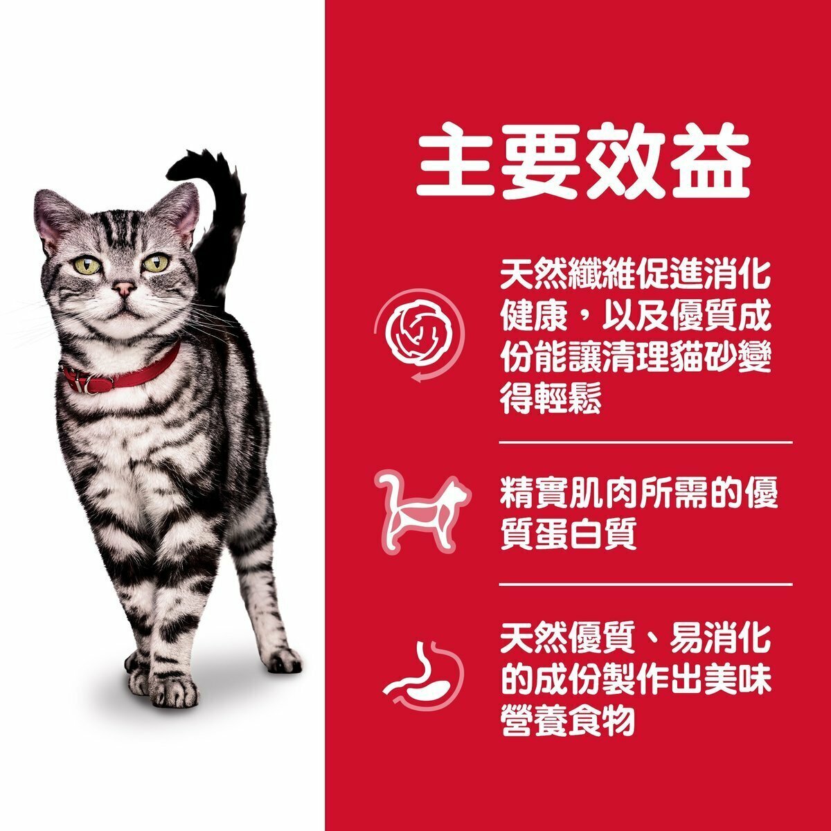 HILLS Adult Cat Indoor Everday Diet (3.5lb /7lb)