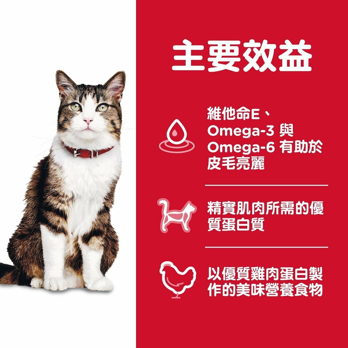 HILLS Adult Cat Hairball Control (3.5lb / 7lb/ 15.5lb)