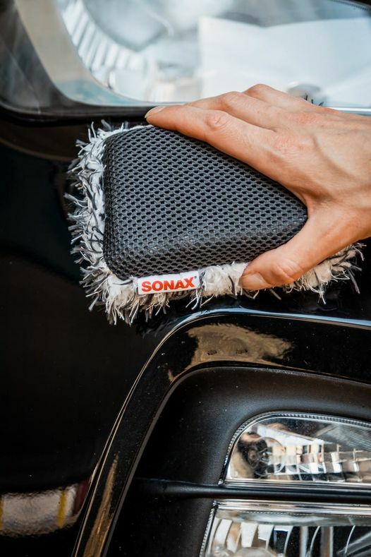 雙效清潔海綿 (昆蟲)