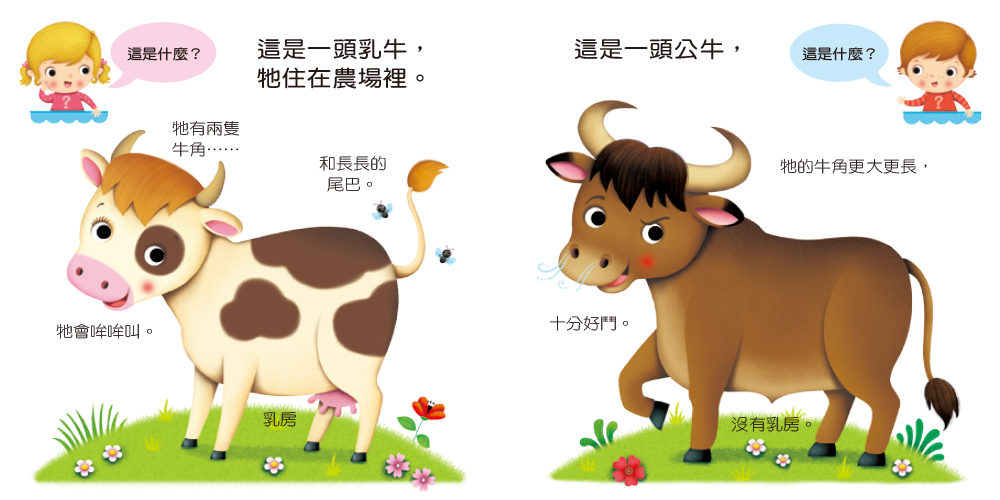 這是什麼？ 乳牛Cow