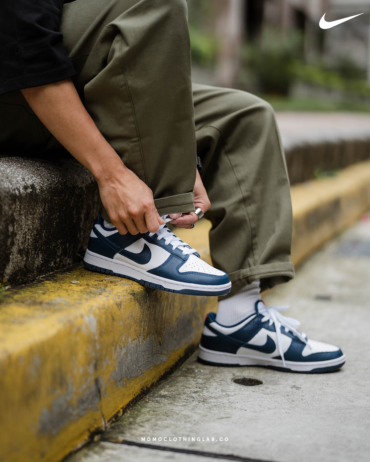 預購】Nike Dunk Low Valerian Blue 纈草藍DD1391-400