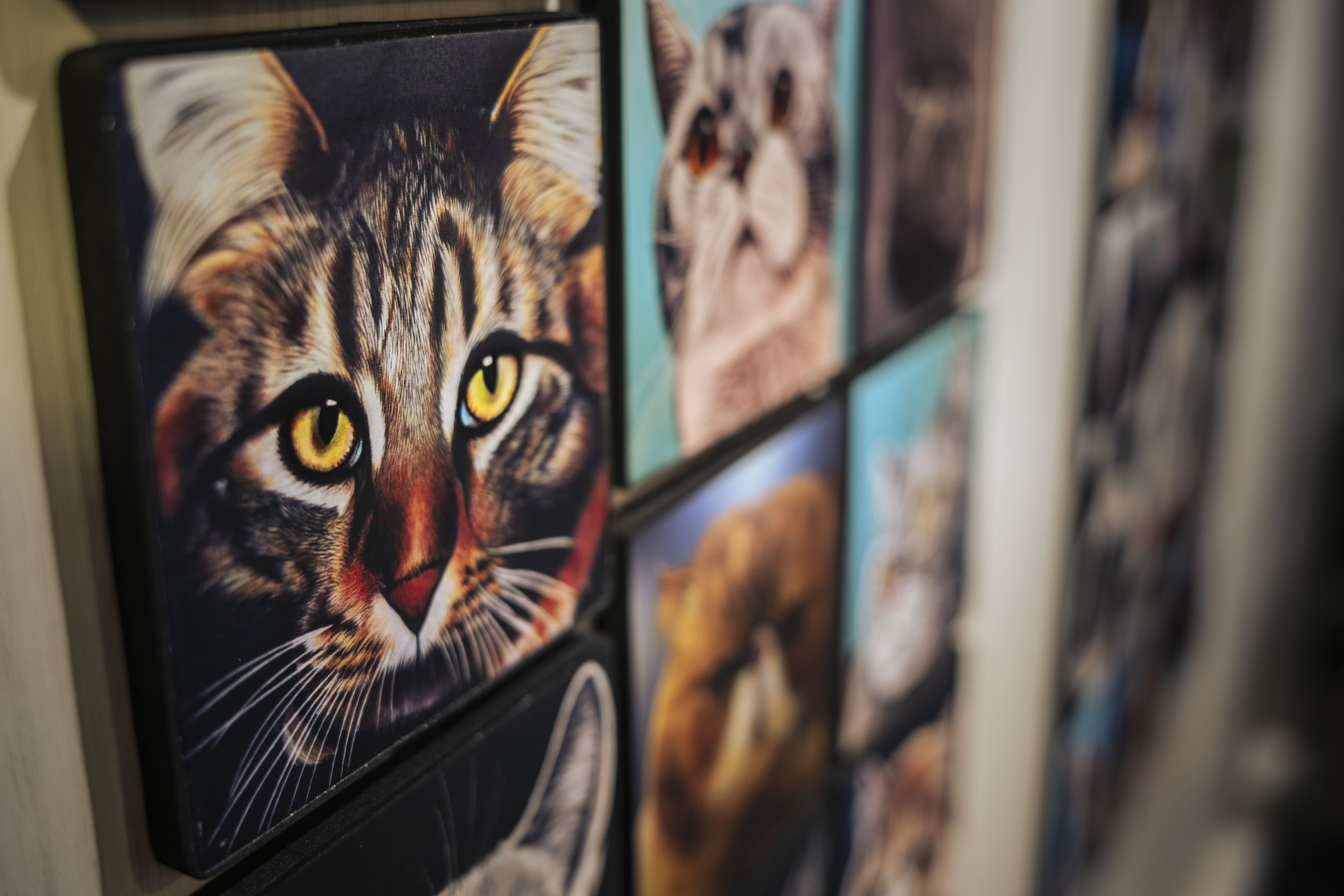 Moon_Sir「寵物格格油畫」- 貓