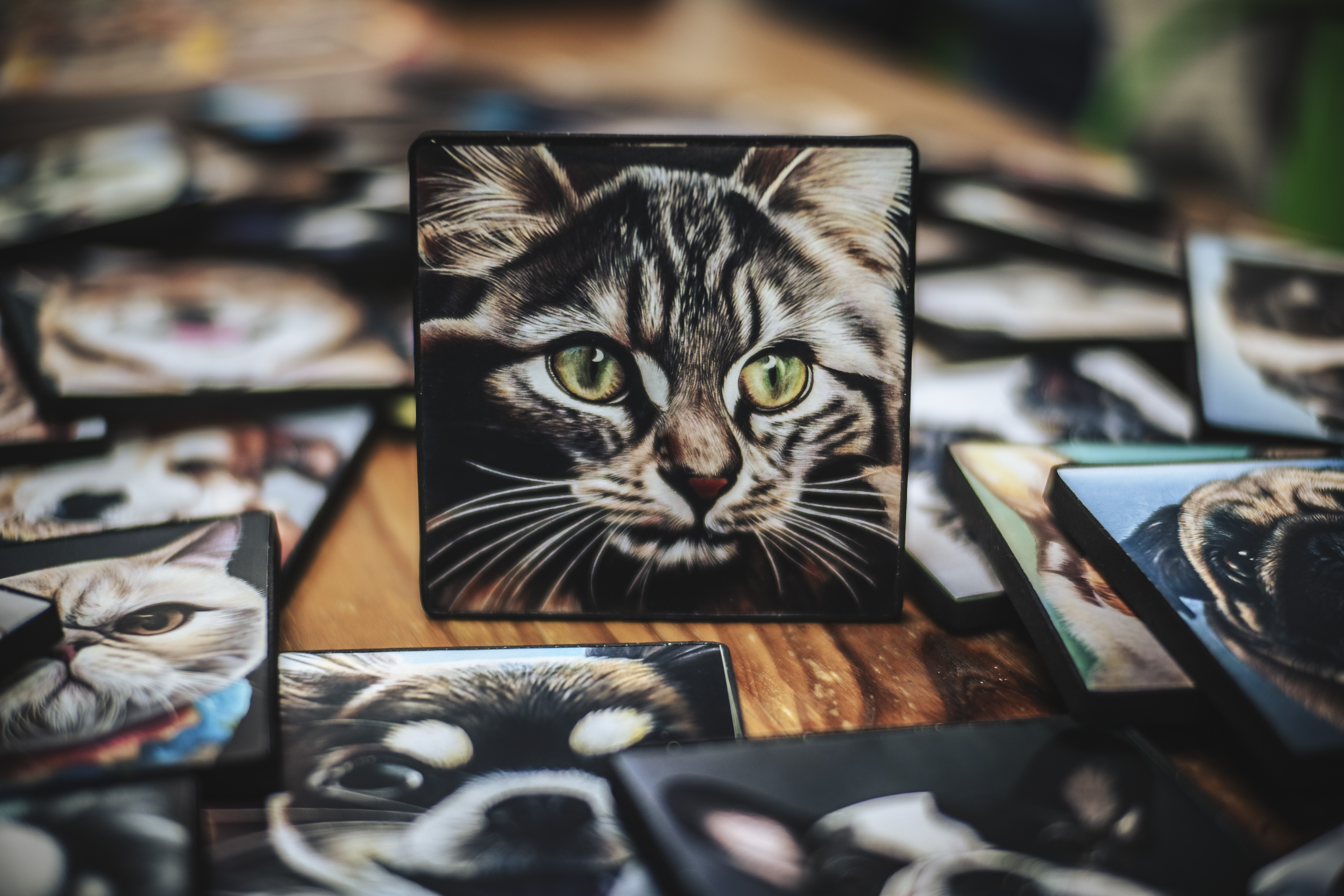 Moon_Sir「寵物格格油畫」- 法國鬥牛犬