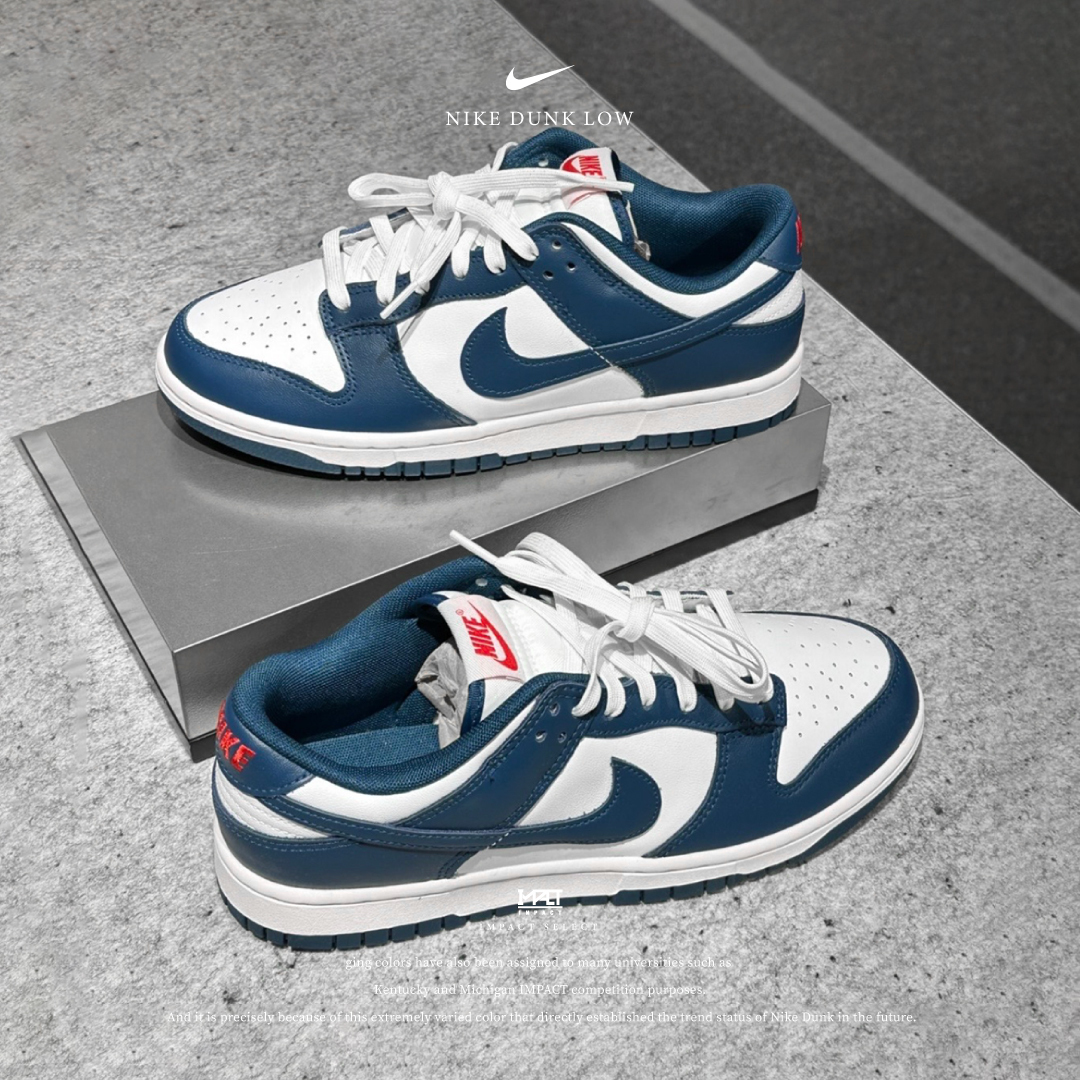 Nike Dunk Low Retro 白藏青 藏青 DD1391-400