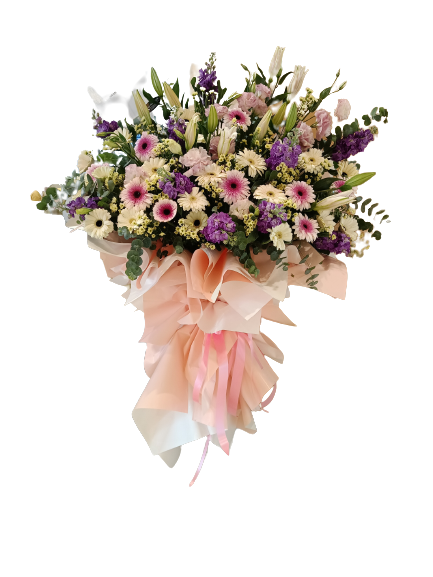 Grand Opening - GO34