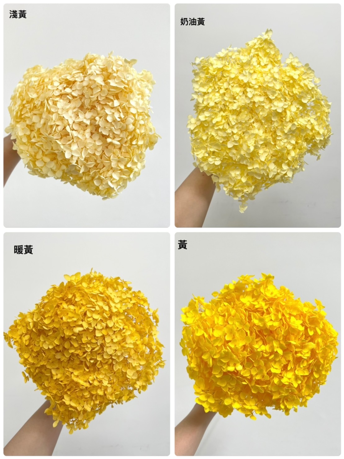 不凋繡球花(帶桿)-黃色系列