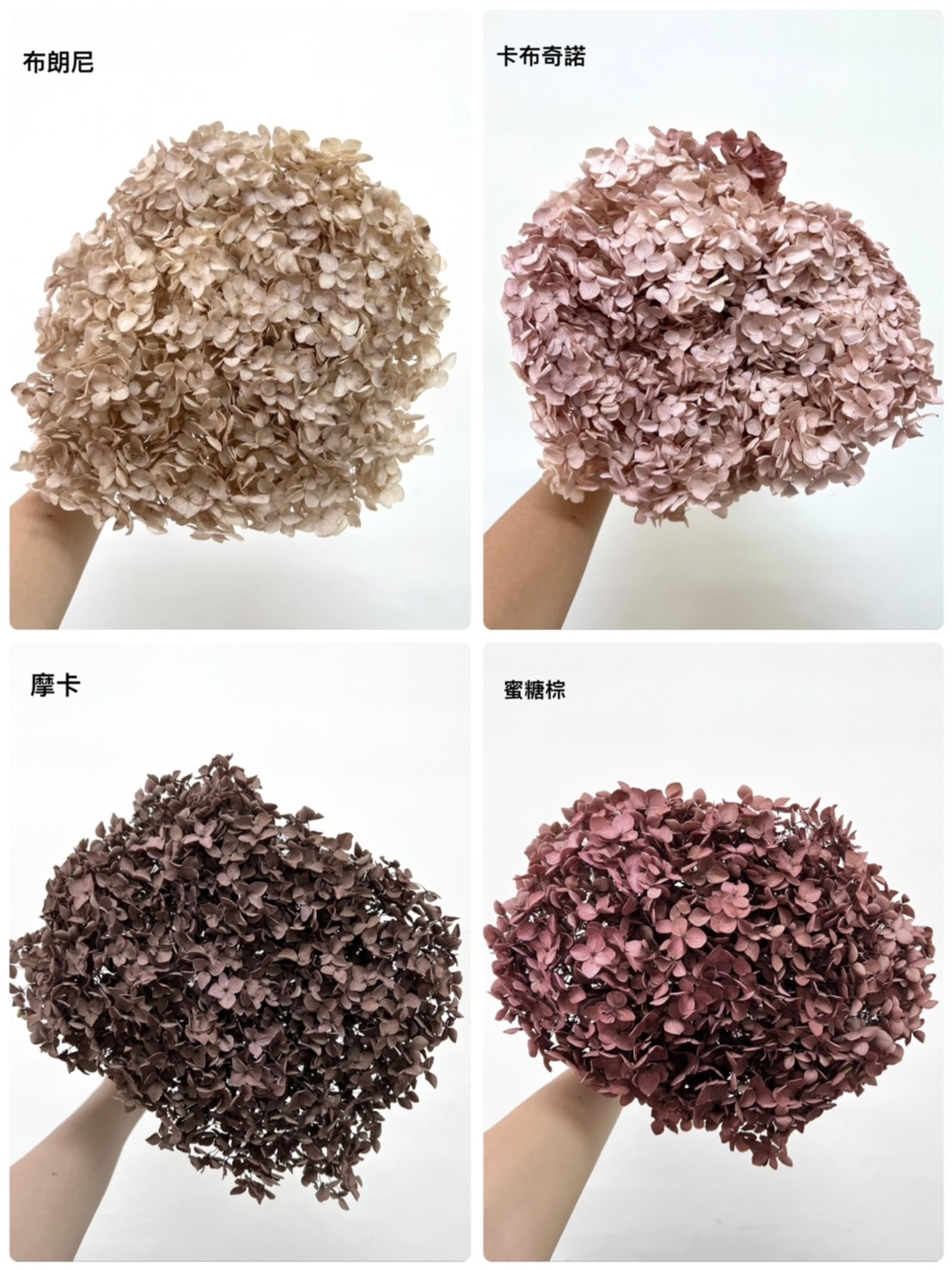 不凋繡球花(帶桿)-咖啡色系