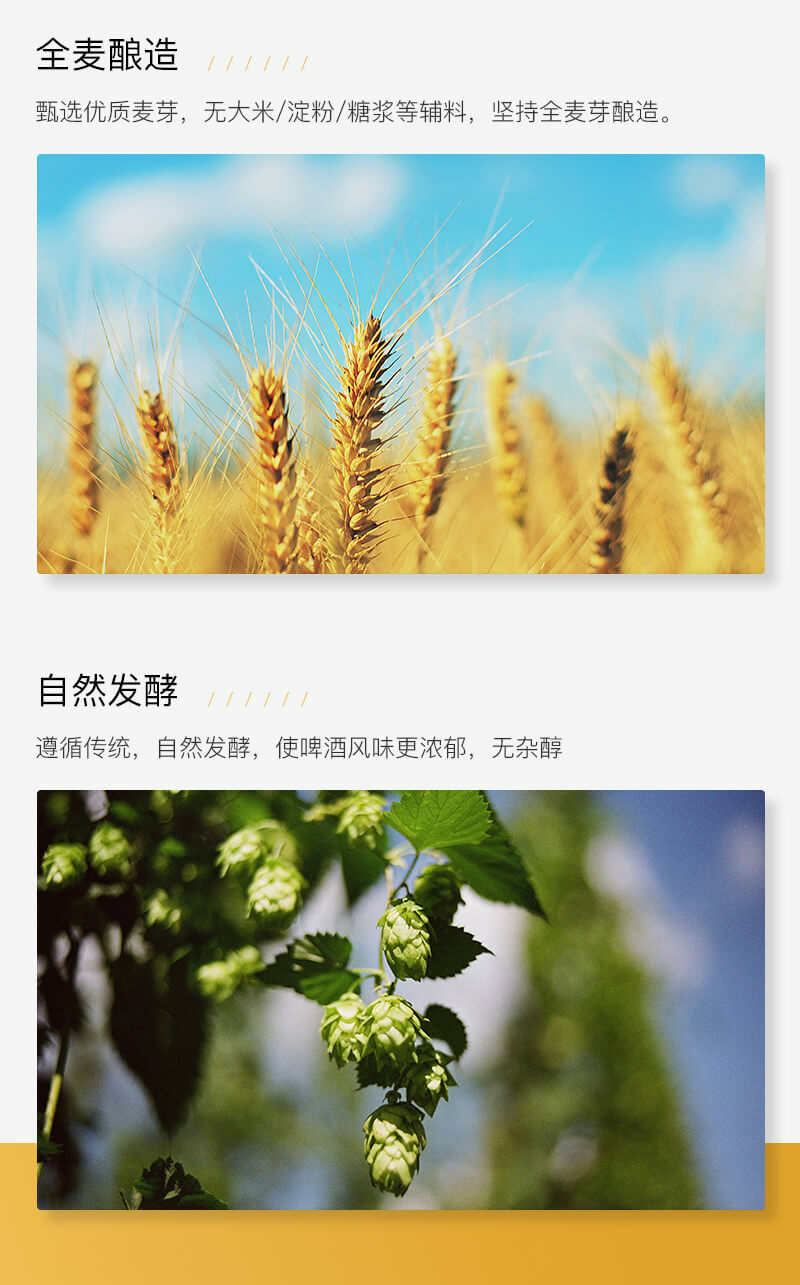 啤酒-手工啤酒-手工啤-Beer-Craft Beer-FENDI CLUB-Wheat beer-啤酒品牌-白啤酒-小麥啤酒