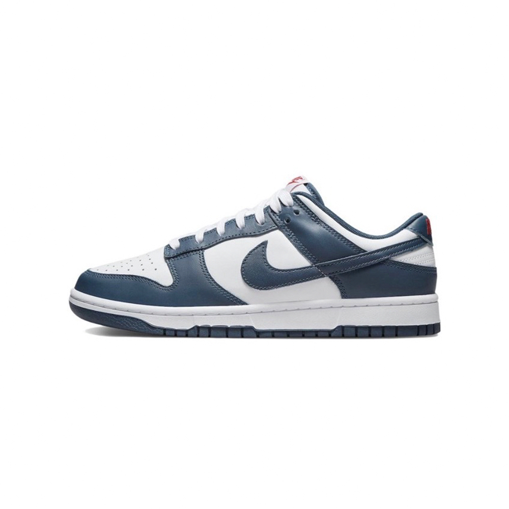Nike Dunk Low Valerian Blue 白藏青 DD1391-400