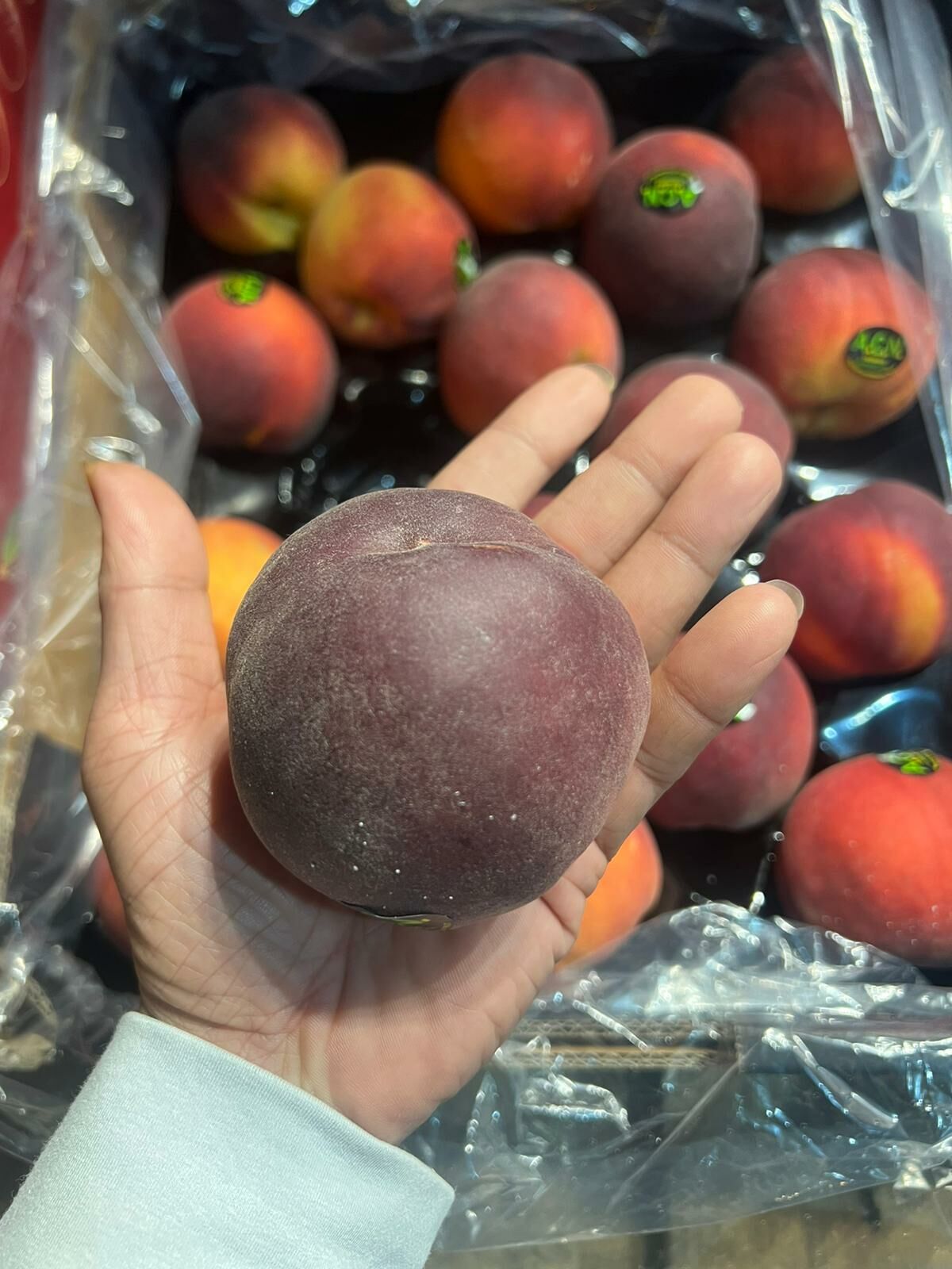 澳洲进口水蜜桃软桃公主桃当季新鲜水果 - 知乎