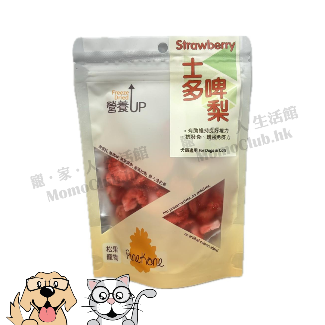 Pinekone - 凍乾士多啤梨片 Strawberry Sliced 10g
