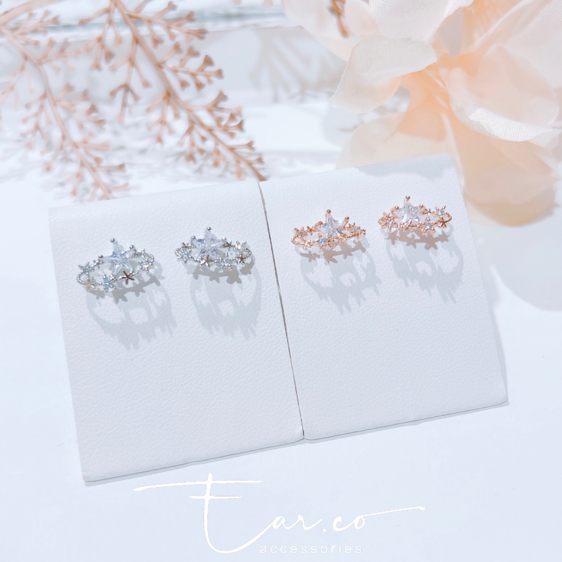 立體閃石星星小行星 #E243