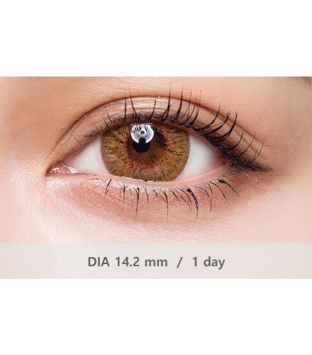韓國GEO Eyeniq彩色日拋 Glam Brown10片裝