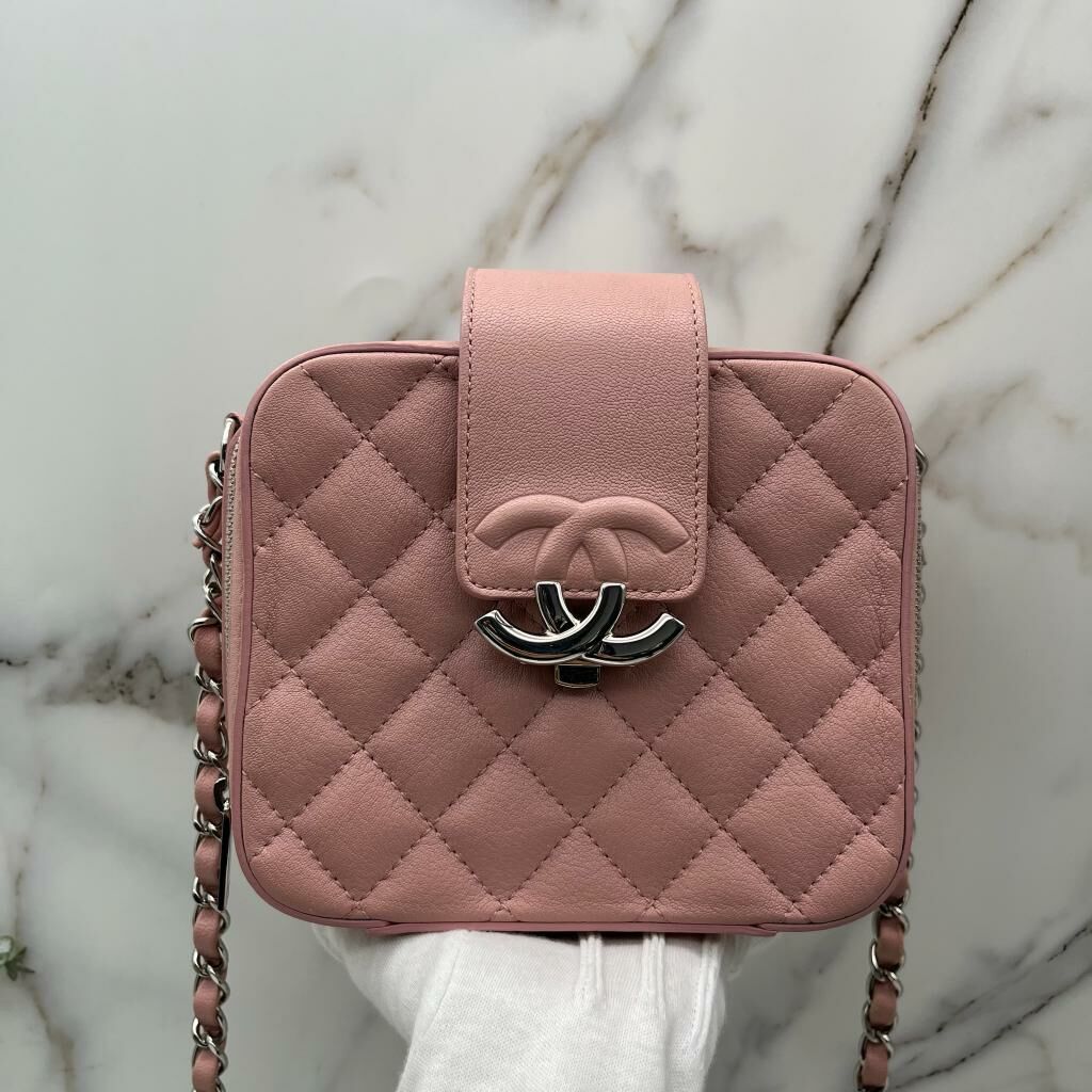 Chanel camera bag （dusty pink)