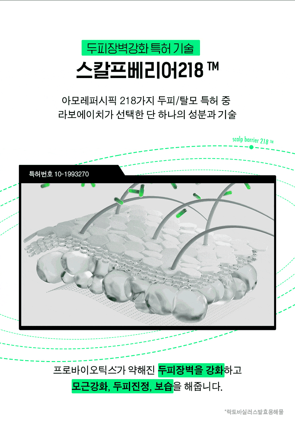 《Olive young連線》LABO-H Scalp Strengthening Shampoo Hair Loss Care 750ml with keyring