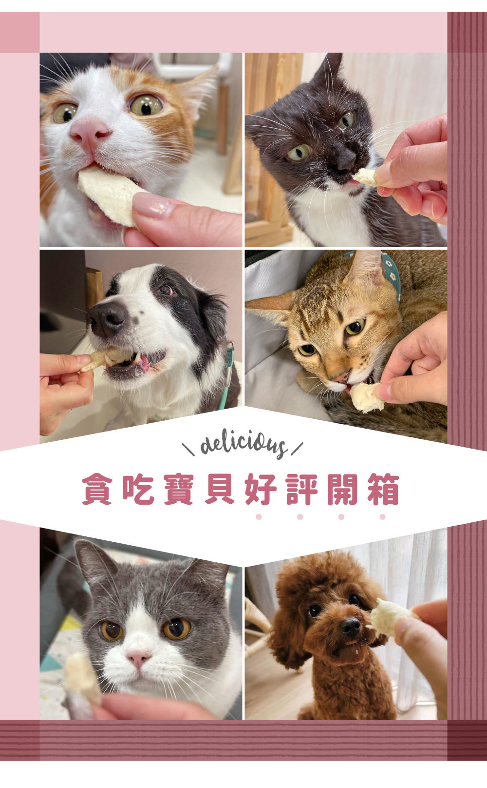 貪貪一食貪吃凍乾零食新上市