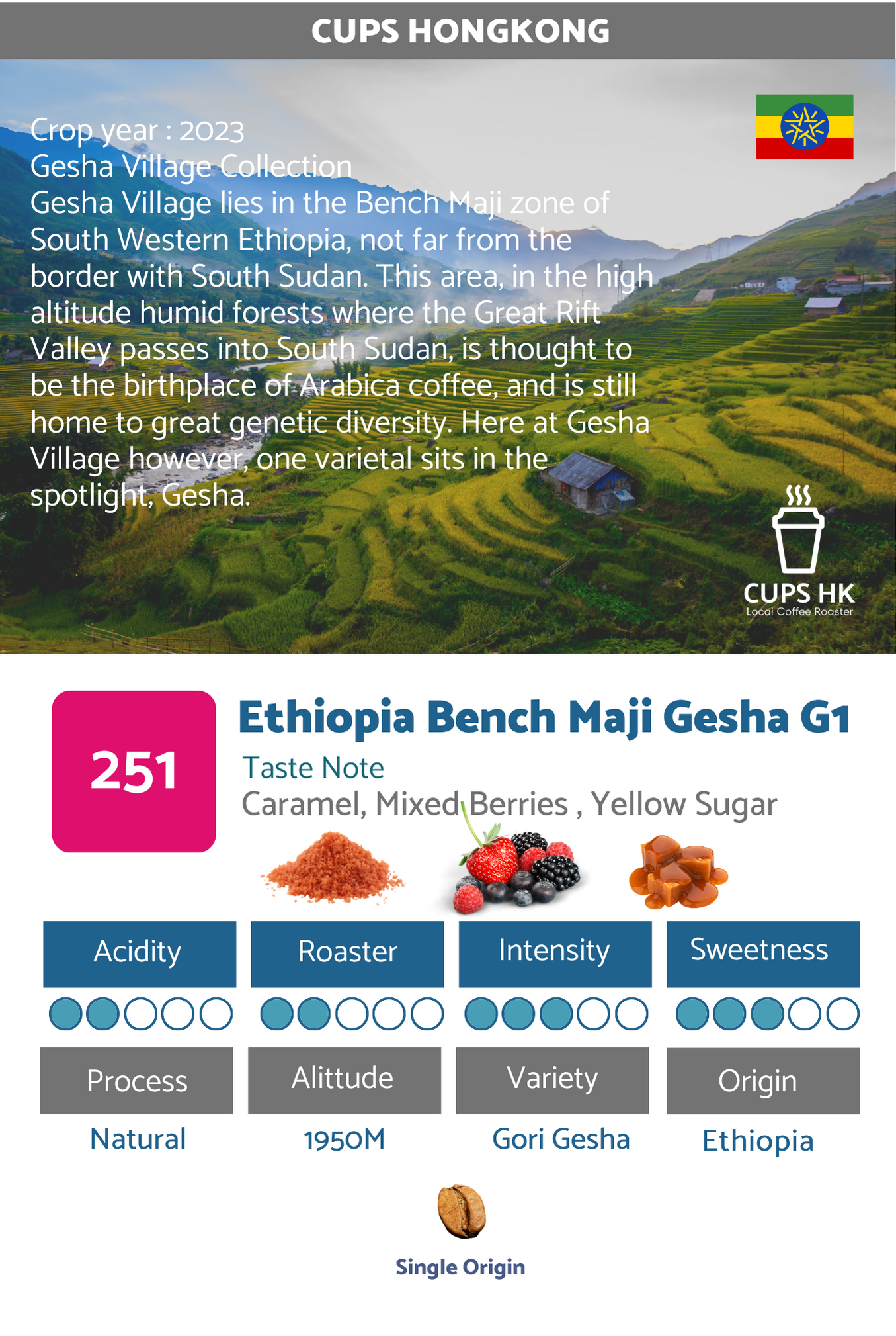 251 Ethiopia Bench Maji Gesha G1 依索比亞瑰夏