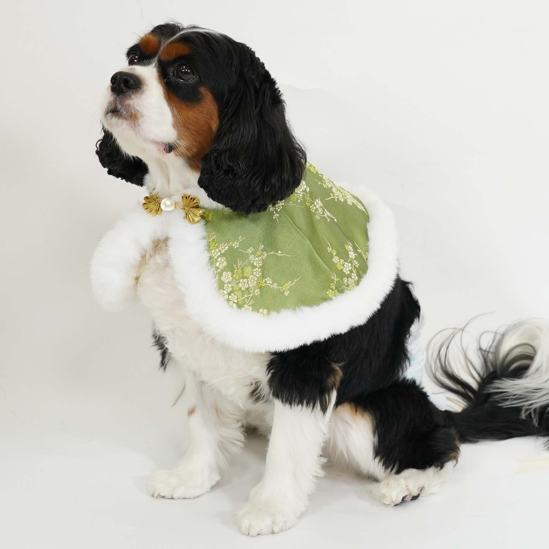 Chinese Floral Damask Green Cape